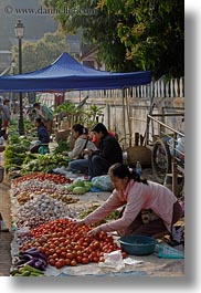 asia, foods, fruits, laos, luang prabang, market, people, produce, selling, selling food, vegetables, vertical, womens, photograph