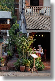 asia, cafes, laos, luang prabang, plants, vertical, photograph