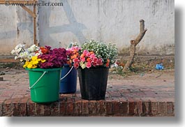 asia, buckets, horizontal, laos, luang prabang, plants, photograph