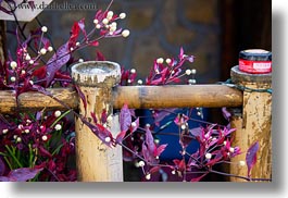 asia, flowers, horizontal, laos, leaves, luang prabang, plants, purple, white, photograph
