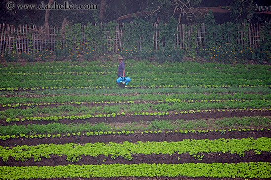 agricultural-field-workers-2.jpg