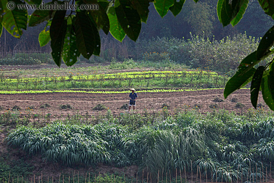 agricultural-field-workers-5.jpg