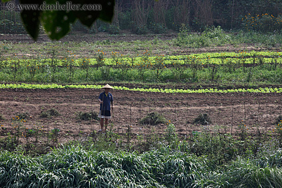 agricultural-field-workers-6.jpg