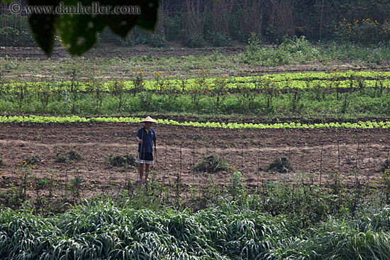 agricultural-field-workers-6.jpg
