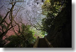 asia, horizontal, illuminated, jungle, laos, long exposure, luang prabang, nite, scenics, trees, photograph