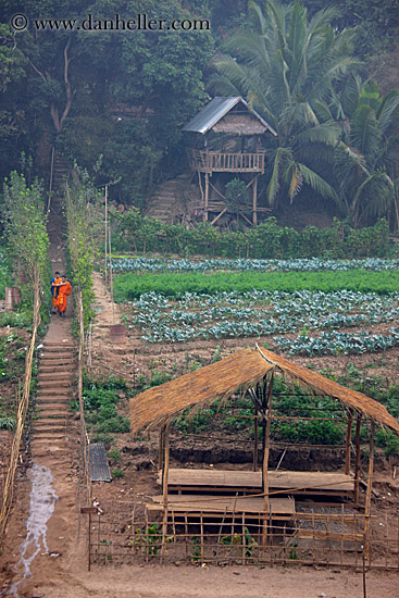 monks-on-path-by-thatched-roof-hut-1.jpg