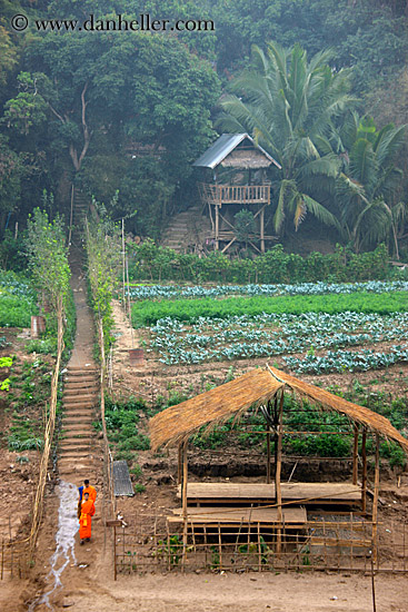 monks-on-path-by-thatched-roof-hut-2.jpg