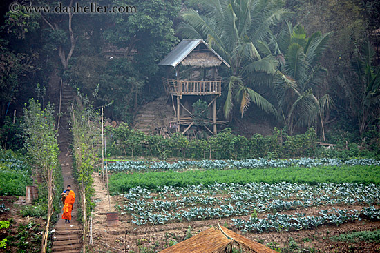 monks-on-path-by-thatched-roof-hut-3.jpg