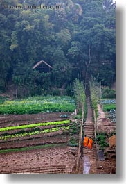 images/Asia/Laos/LuangPrabang/Scenics/Jungle/monks-on-path-by-thatched-roof-hut-4.jpg