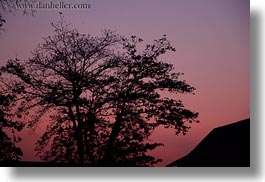 asia, horizontal, jungle, laos, luang prabang, scenics, sunsets, trees, photograph