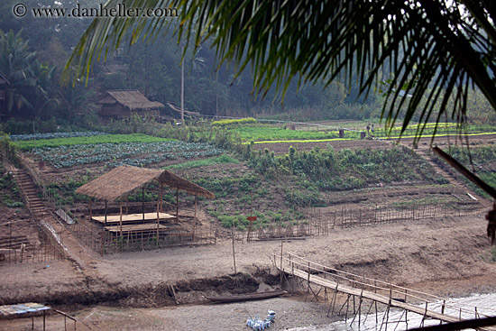 thatched-roof-hut-1.jpg