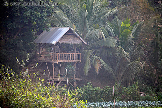 thatched-roof-hut-2.jpg