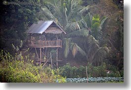 asia, horizontal, huts, jungle, laos, luang prabang, roofs, scenics, thatched, photograph