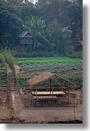 asia, huts, jungle, laos, luang prabang, roofs, scenics, thatched, vertical, photograph