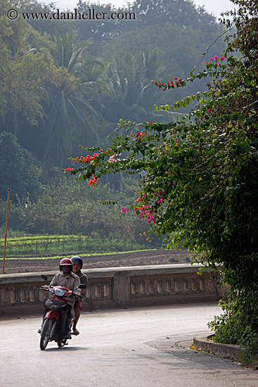 motorcycle-curve-bougainvillea-1.jpg