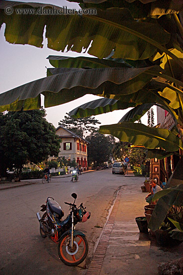 motorcycle-under-palm_tree-at-dusk.jpg