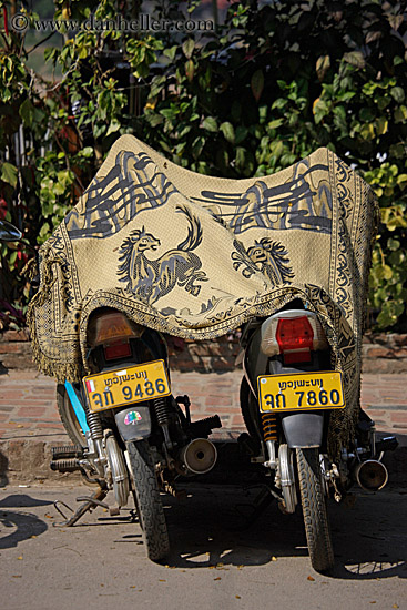 two-motorcycles-under-horse-rug.jpg