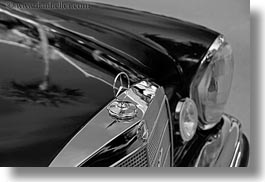 asia, benz, black, black and white, cars, horizontal, laos, luang prabang, mercedes, nature, palm trees, plants, reflections, transportation, trees, photograph