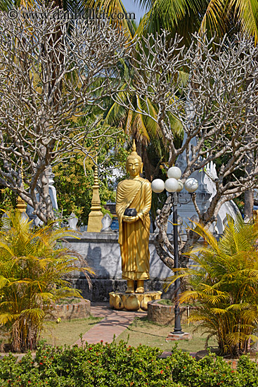 golden-buddha-2.jpg