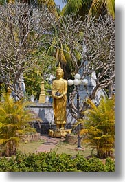 asia, buddhas, buddhist, golden, laos, luang prabang, religious, vertical, wat choumkhong, photograph