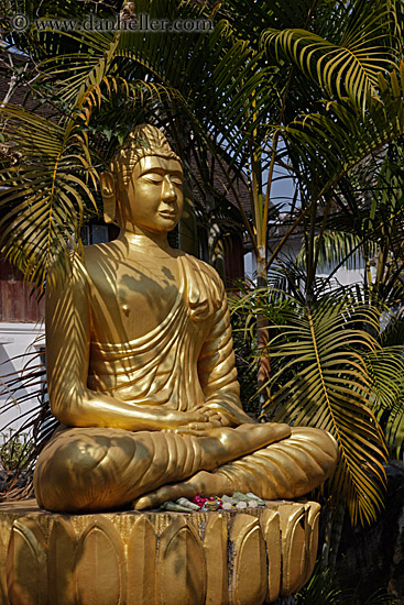 golden-buddha-3.jpg