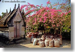 asia, bougainvilleas, horizontal, laos, luang prabang, pink, temples, wat choumkhong, photograph