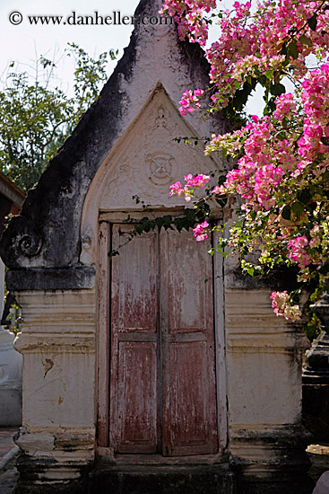 pink-bougainvillea-n-temple-3.jpg