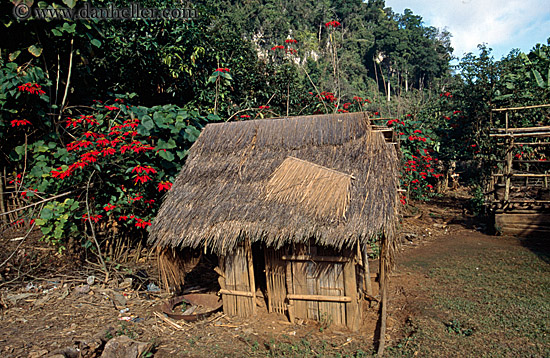 thatched-roof-hut.jpg
