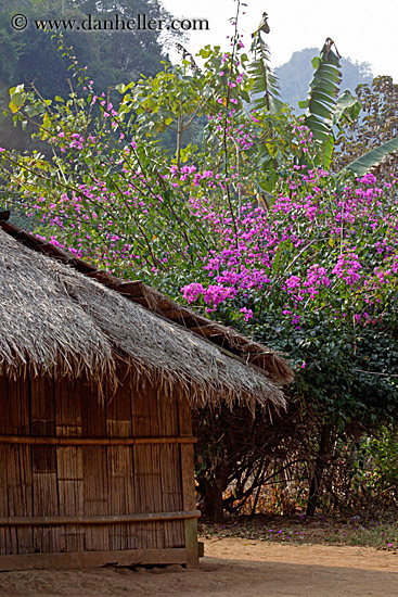 thatched-hut-w-pink-bougainvillea-2.jpg