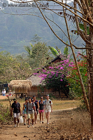 tourists-hiking-by-trees-n-flowers.jpg