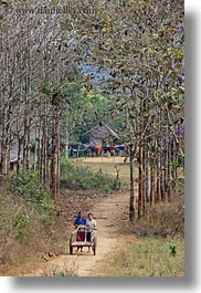 asia, carts, hmong, laos, pushing, trees, two, vertical, villages, womens, photograph