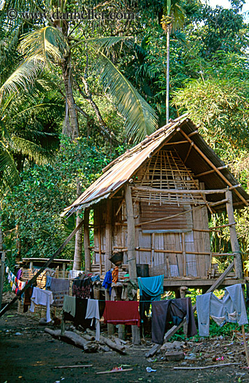 thatched-roof-hut-4.jpg