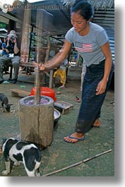 animals, asia, asian, clothes, dogs, emotions, laos, people, poverty, river village, smiles, vertical, villages, washing, womens, photograph