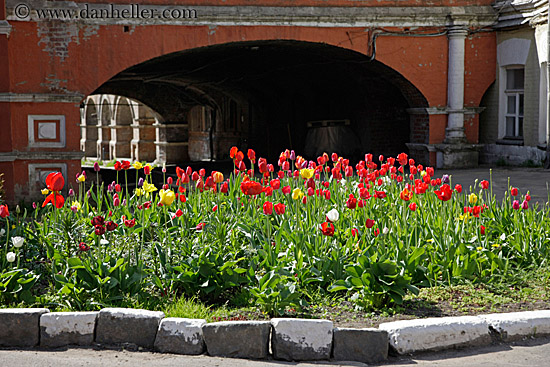 tulips-n-arched-tunnel-2.jpg