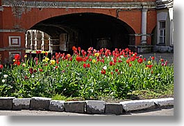 archways, asia, buildings, churches, flowers, horizontal, monestaries, moscow, nature, russia, structures, tulips, tunnel, photograph