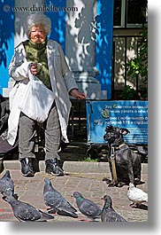 animals, asia, birds, blues, city scenes, colors, dogs, moscow, old, pigeons, russia, vertical, womens, photograph