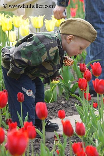 boy-in-red-tulips-2.jpg