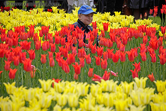 boy-in-tulips.jpg