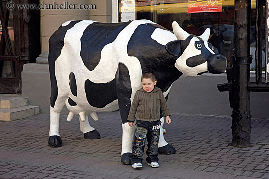 boy-n-cow.jpg