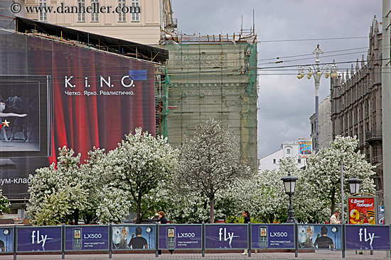 downtown-trees.jpg