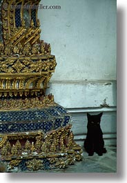 asia, bangkok, black, cats, colorful, thailand, tiles, vertical, photograph