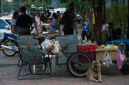 dog-w-vending-carts.jpg