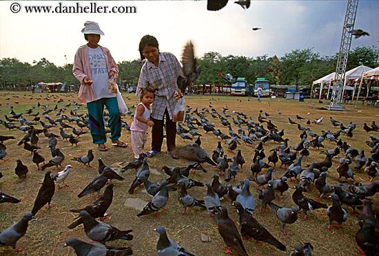 mother-n-girl-w-pigeons.jpg