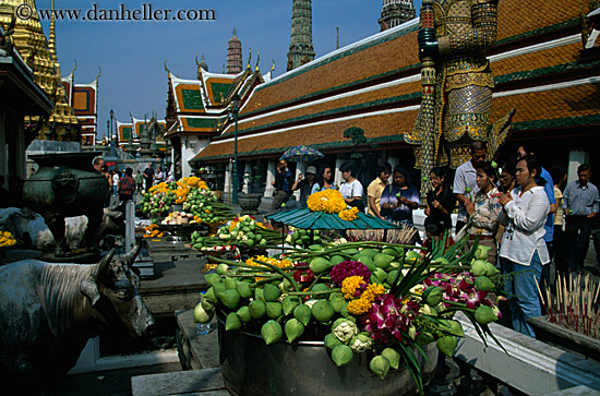 people-praying-w-flowers-01.jpg