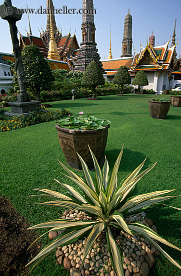 plants-n-temple-bldgs-01.jpg
