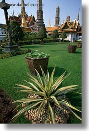 asia, bangkok, buildings, plants, temples, thailand, vertical, wat phra kaew, photograph