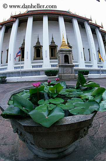 plants-n-temple-bldgs-02.jpg