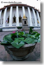 asia, bangkok, buildings, plants, temples, thailand, vertical, wat phra kaew, photograph