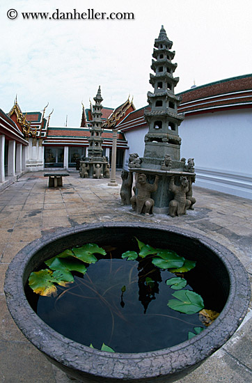 water-basin-n-courtyard.jpg