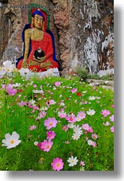 arts, asia, buddhas, buddhist, flowers, frescoes, lhasa, paintings, pink, religious, tibet, vertical, photograph